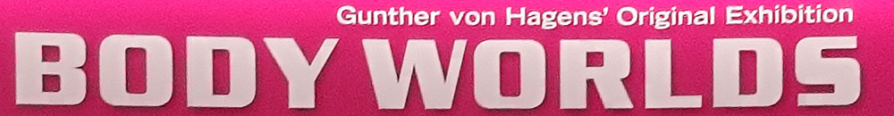Body worlds